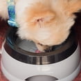 thumbnail image 2 of 1 piece Pet Splash Free Bowl for Cat Dog Travel, Vehicle Carried Non Spill Resin Water Feeder , Splash-free Water Bowl Vehicle Carried Non Spill Water Dog Feeder Anti-overflow Bowl, 2 of 13