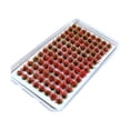 thumbnail image 1 of jifeng Artificial DIY Miniature Flower Cluster Grass Tufts Diorama Layout Scenery Model Red, 1 of 9