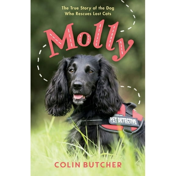 Molly: The True Story of the Dog Who Rescues Lost Cats, (Paperback)