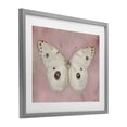 thumbnail image 2 of Stupell Industries Cottage Gossamer Butterfly on Blush Background Gray Framed Print Under Glass, 16 x 13, by Arlington Prints, 2 of 8
