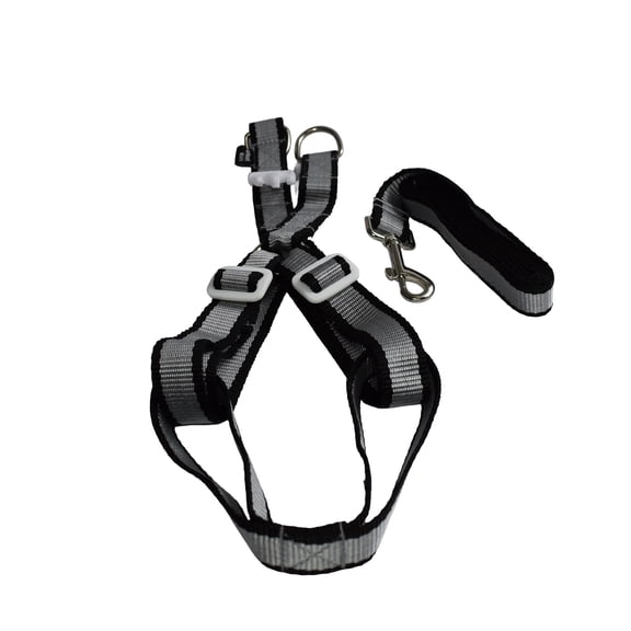 Arnes con correa para mascota Infanti Pets negro extragrande