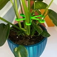 thumbnail image 4 of Ounissouiy Marco de tallo de planta de crecimiento Vertical ABS, 8 Uds., para jaulas de plantas de crecimiento sin desorden, soporte para tallo Jardín y Patio Rojo, 4 of 6