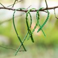 thumbnail image 3 of keepw 50pcs Cable Ties Made Easy Long Lasting And Non-toxic Fastener Strong Durable green 13cm 1Set, 3 of 6