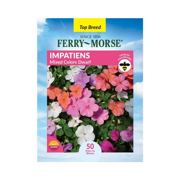 Ferry-Morse 100MG Impatiens Mixed Colors Dwarf Annual Flower Seeds, Full Sun