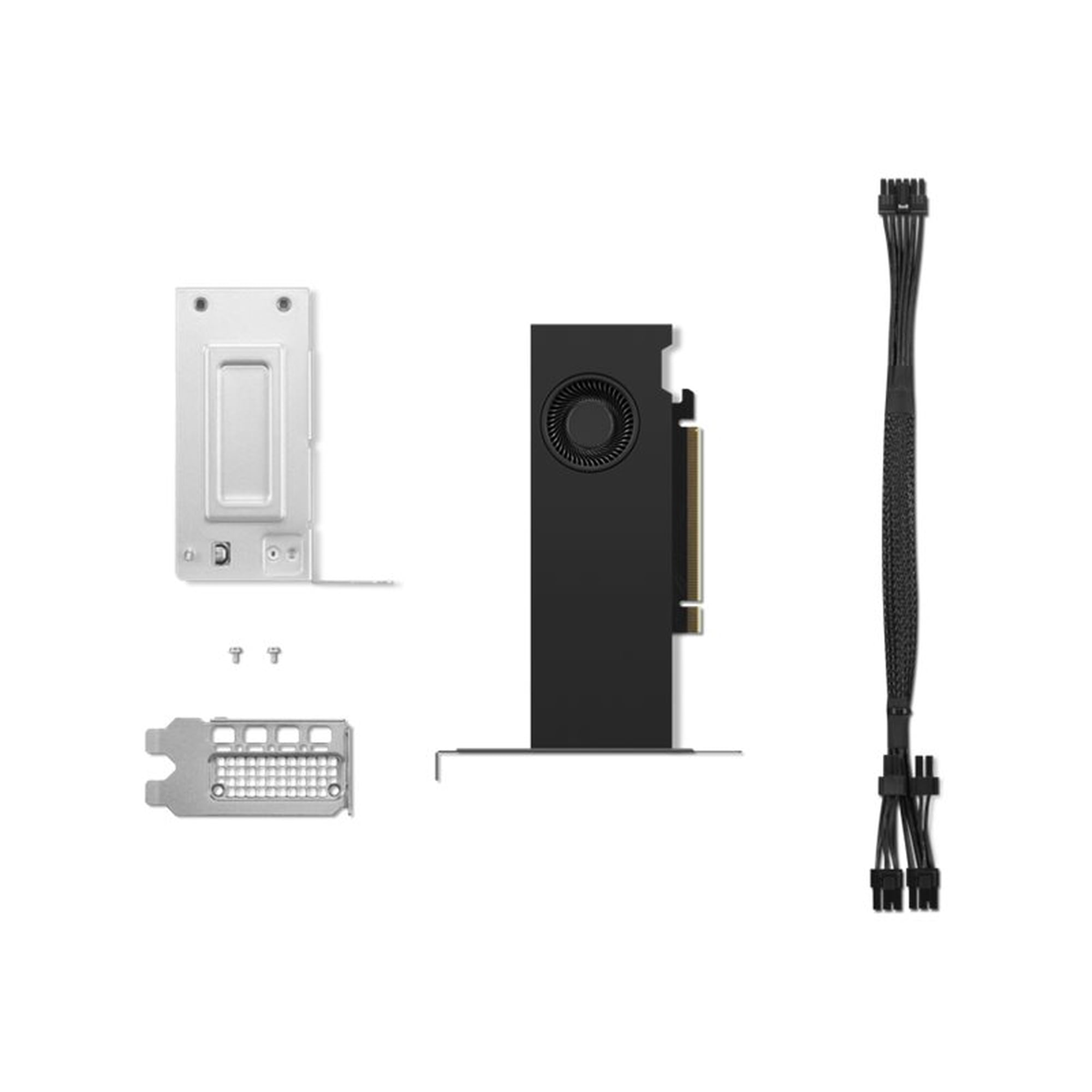 Lenovo NVIDIA RTX 2000 ada Graphic Card 16 GB GDDR6 4 x Mini DisplayPort Mini DisplayPort 4X61P69962