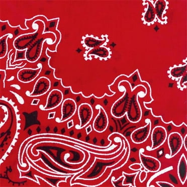 Hav A Hank Paisley Bandanna 22inchX22inch Black Red And White Nm01411532 B2b