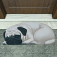 thumbnail image 7 of Aihimol Non Slip Cute Pet Dog Themed Carpet,Welcome Floor Doormat Non Slip Floor Mat Summer Holiday Funny Novelty Door Mats for indoor Outdoor Holiday Decoration 34.25x15.74in, 7 of 7