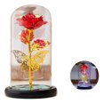 thumbnail image 2 of Lámpara de rosa artificial de cubierta transparente luz de flor de cubierta de vidrio LED decorativa colorida de fácil limpieza para boda ANGGREK Otros, 2 of 7