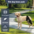 thumbnail image 3 of Dog Knee Brace, Dog Leg Protection Brace Dog ACL Brace for Front Torn and Back Hind Rear Legs ACL Tear, Dog Hip Knee Leg Brace, 3 of 15