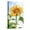 Canvas, variant on Art.com Sunflower, Community Garden, Moses Lake, Wa, USA Photographic Print by Stuart Westmorland, 12" x 18"