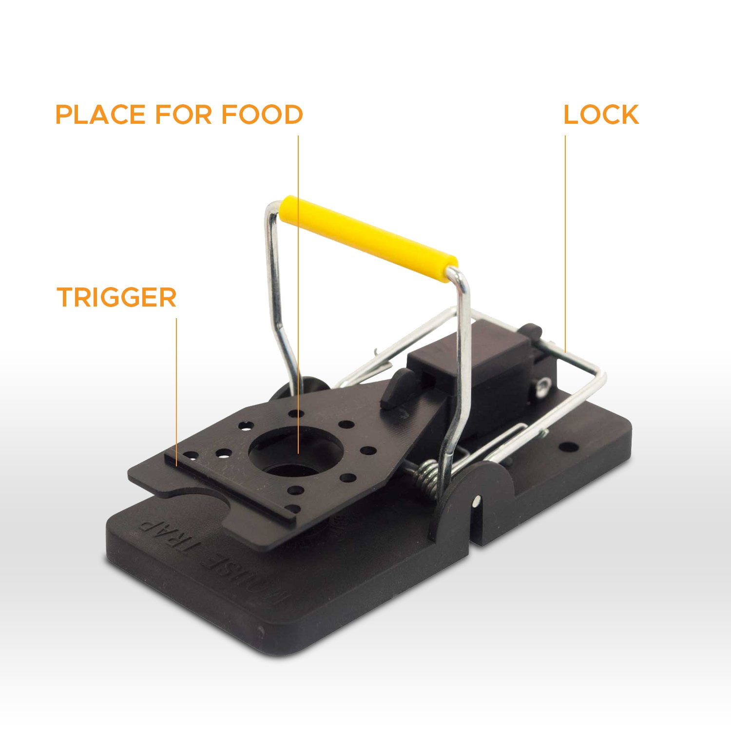the perfect mouse trap