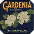 thumbnail image 3 of Anonymous 12x12 Black Modern Framed Museum Art Print Titled - Gardenia Fruit Label (1930s), 3 of 5