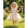 thumbnail image 6 of IDOPIP Infant Baby Flower Girl Dress Asymmetric Shoulder 3D Flowers Toddler Wedding Formal Birthday Party Pageant Tiered Tulle Gowns Tutu Dresses 9-12 Months Champagne, 6 of 8
