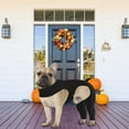 thumbnail image 4 of Dog Leggings Rear Leg Wrap for Warmth and Support for Injured Aging Pets Against Licking Multiple Size Less Discomfort, 4 of 8