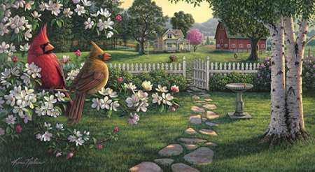 Kim NORLIEN cardinal Print COUNTRY MUSIC