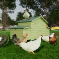 thumbnail image 3 of Pefilos 69" Wooden Chicken Coop Outdoor & Waterproof Guinea Pig Hutch with Egg Carton and Pull-Out Drawer, Green, 3 of 8