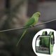 thumbnail image 3 of Mochila para pájaros con soporte para pájaros y comedero retráctil para loros. Verde, 3 of 8