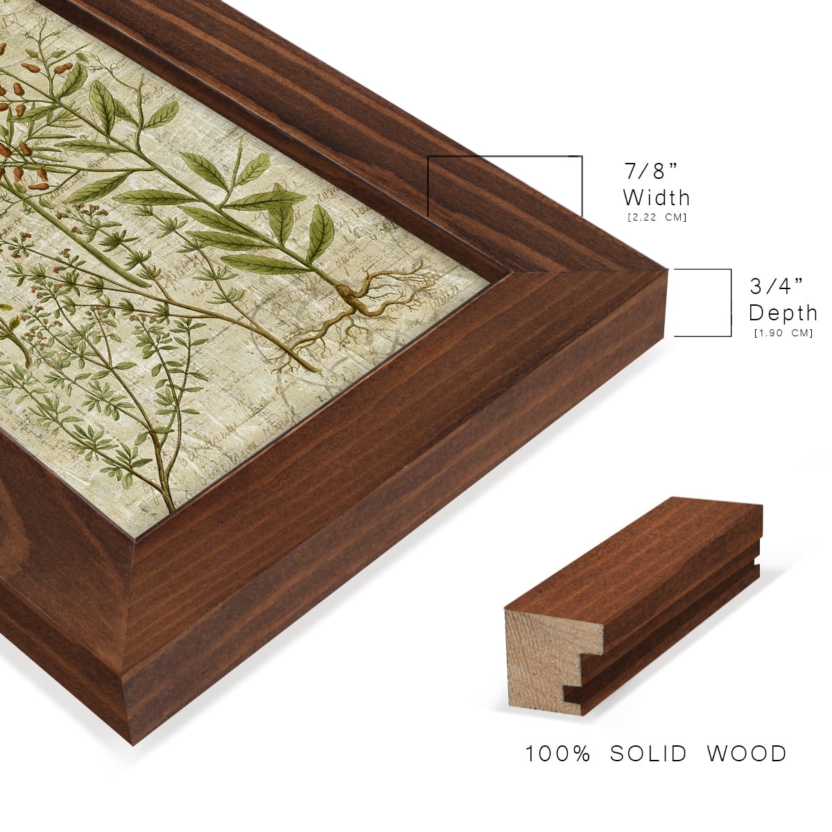 Garden Verses I -Framed Print w/glass-Chestnut