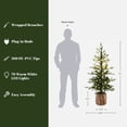 thumbnail image 3 of 4Ft Pre-Lit Winter Green Artificial Evergreen Christmas Tree Potted, 3 of 11