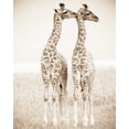 thumbnail image 2 of Parker Nature Photography, Frank and Susann 20x24 Black Ornate Wood Framed with Double Matting Museum Art Print Titled - Spirit of Life 1, 2 of 4