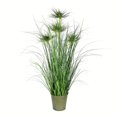 thumbnail image 1 of Vickerman VICK-TD190236 Vickerman 36" Green Cyperus Grass In Iron Pot - TD190236, 1 of 3