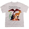 thumbnail image 2 of Fantastic Beasts The Secrets Of Dumbledore Fantastic Beasts Pile Kids T Shirt (X-Large) for Youth Toddler Boys and Girls, Silver, 2 of 5