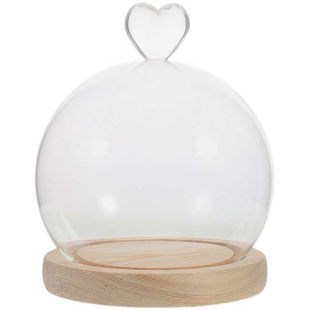 FELTECHELECTR juego de cúpula de cristal redonda con base de madera para exhibición de flores eternas.