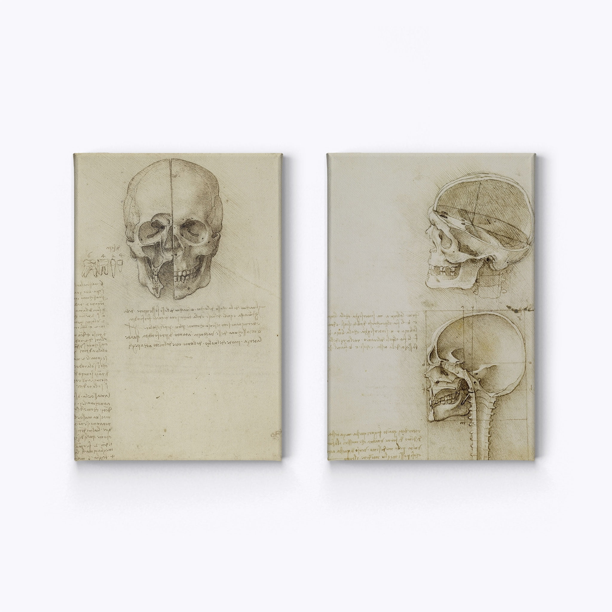 Smile Art Design Skull Anatomy by Leonardo Da Vinci 2 Piece Canvas Print  Set Famous Art Painting Reproduction Fine Art Home Decor Ready to Hang-  Made in USA- (22x15)x2 - Walmart.com