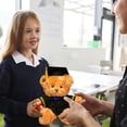 thumbnail image 5 of ​14in PhD Graduation Bear - Pink Faux Velvet Plush w/ Embroidered Regalia, Collectible Scholar Gift Set (Gown, Cap, Diploma, 6+ Safe)​​ Blue, 5 of 7