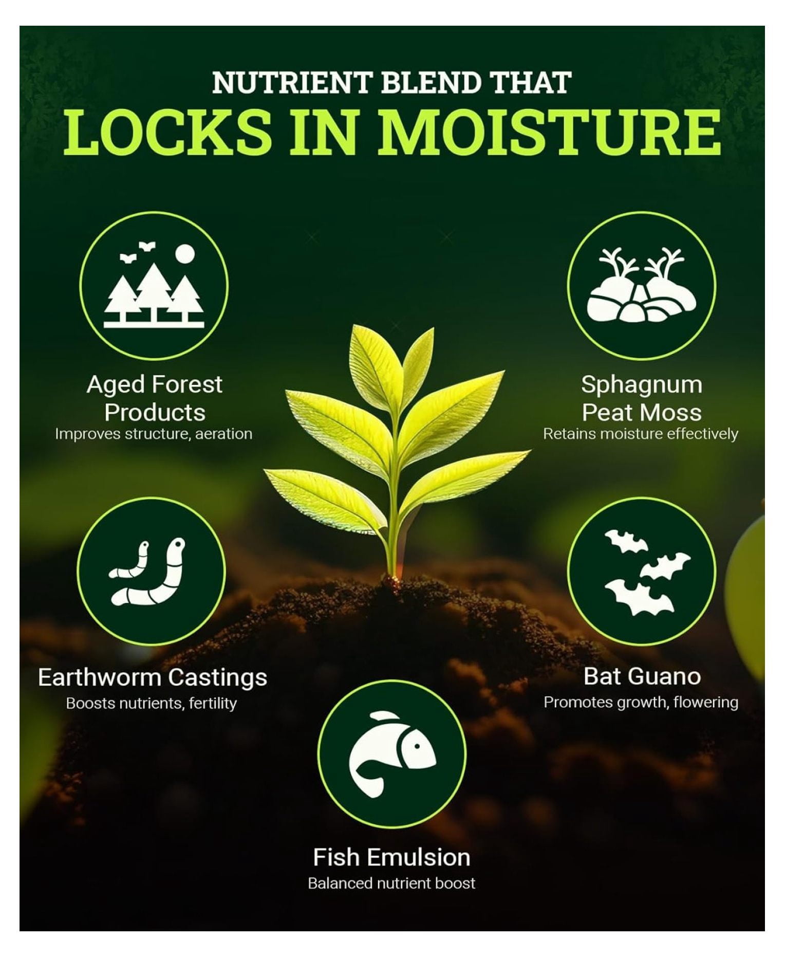 Ocean Forest Potting Soil, 12 Quart (2 Pack) - Light, Aerated Texture