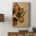 thumbnail image 5 of Winged Wreath I Premium Gallery Wrapped Canvas - Ready to Hang, 5 of 9