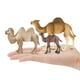 thumbnail image 2 of Juego de figuras de camello, 10 piezas, realistas, de PVC, animales del desierto para niños de 3 año, 2 of 2