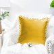 thumbnail image 5 of Dinheiro Funda de almohada sólida de terciopelo granular suave de 18x18 "adecuada para sofá dormitorio Coche paquete de 2 piezas, 5 of 5