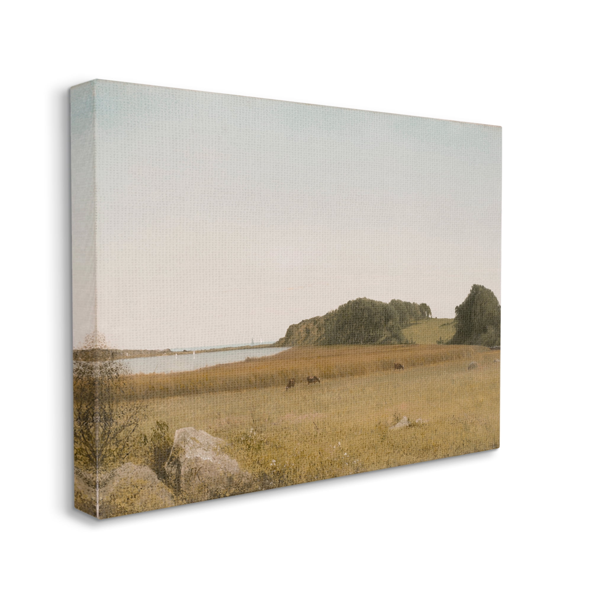 Stupell Industries Countryside Grazing Cows Landscape Photography Gallery Wrapped Canvas Art Print Wall Art, 20 x 16