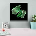 thumbnail image 4 of Epic Graffiti 'Emerald Fighter' by Epic Portfolio, Giclee Canvas Wall Art, 12"x12", 4 of 8