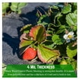 thumbnail image 5 of - Weed Control 4 Mil Black Plastic Sheeting - Heavy Duty Weed Barrier Landscape Fabric for Outdoor Gardens, Non Woven Weed Blocker Fabric, Weed Control (3' x 100'), 5 of 7