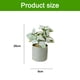 thumbnail image 2 of Simulación de plantas suculentas en macetas, estructura triangular de hierro, macetas de melamina, adornos creativos, plantas verdes artificiales, 2 of 5