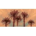 thumbnail image 2 of Stelfox, Norm 24x14 White Modern Wood Framed Museum Art Print Titled - Palm Springs, 2 of 4