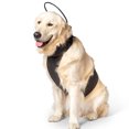 thumbnail image 1 of Calmer Canine Anxiety Treatment System Bundle, 1 of 1