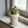 thumbnail image 5 of HOZVOMI Modern Round Succulent Planter, Lightweight Desktop Pot for Home and Garden Decor, 5 of 6