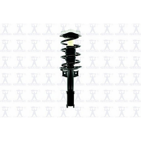 Suspension Strut and Coil Spring Assembly