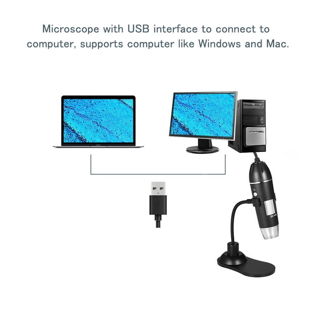 Acheter Microscope de poche 500/1000X, écran IPS de 2.0 pouces, Mini  Microscopes portables avec 8 lumière LED, Microscope numérique portatif  pour enfants