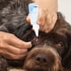thumbnail image 1 of Cat Eyes Care Drops, Dirt Anti-inflammatory Safe Gentle Easy To Carry Cat Eyes Stain Remover, Bactericidal Animals Cats Pets Dogs ANGGREK AC7064, 1 of 8