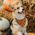 thumbnail image 5 of Fall Thanksgiving Dog Bandana Reversible 2 Pack Small, Pumpkin Turkey Leaves Fox Cute Fall Pet Bandanas for Dogs Adjustable Triangle Holiday Scarves for Small Medium Boy Girl Dogs, 5 of 5