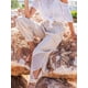 thumbnail image 3 of Pantalones bombachos de retazos para mujer, ropa de estar por casa de cintura elástica lisa con bolsillo, holgados, a la moda, ropa de calle de verano, envío directo, 3 of 4