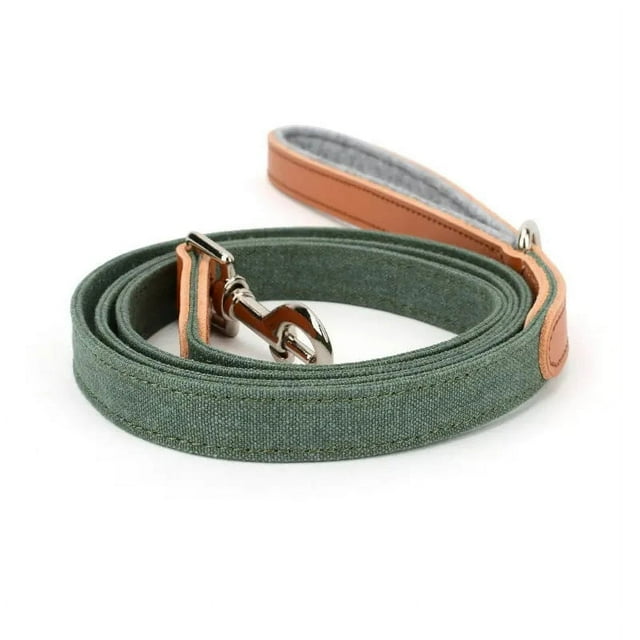 Laisse en Cuir de Chien Personnalisé - Deux Conception de Couleur