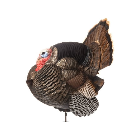 Dave Smith Decoys Jake Strutter Turkey Decoy