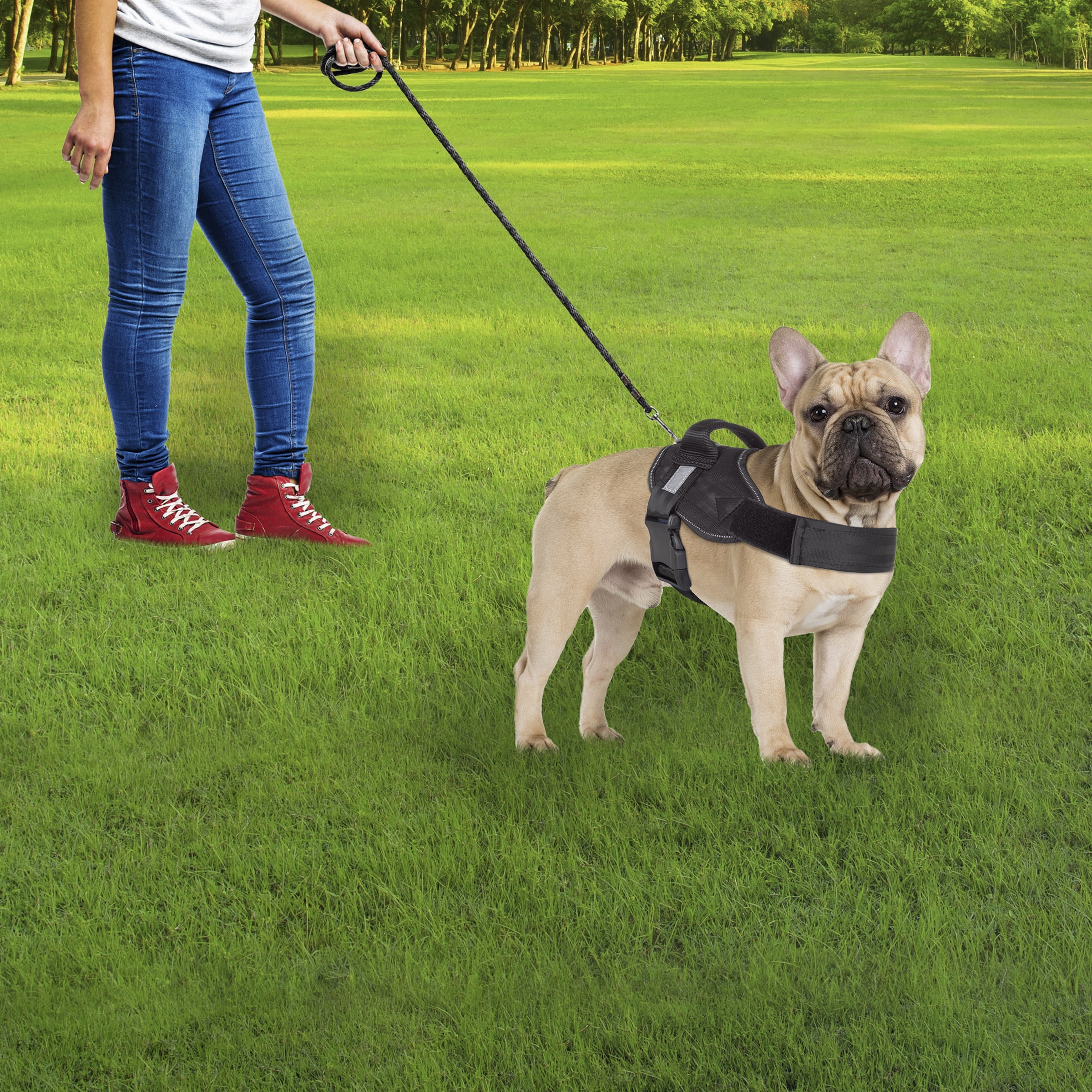 Petmaker Dog Harness for Dogs 30-60 lbs.