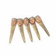 thumbnail image 3 of Bewildely 5 uds cubierta de dedo de simulación de Halloween cara de uñas accesorios de disfraz de miedo decoración de fiesta de maquillaje Kits de decoración para fiestas cara humana Bewildely HA000181-04B, 3 of 4