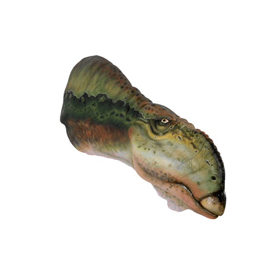 Muttaburrasaurus Dinosaur Head Life Size Statue